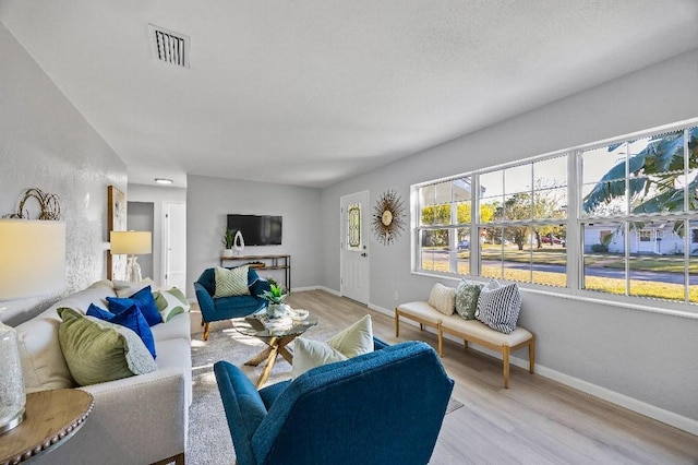 living room with light wood-type flooring