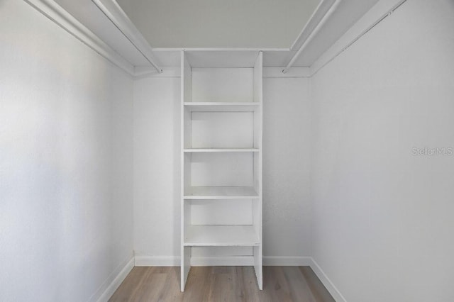 spacious closet featuring hardwood / wood-style floors