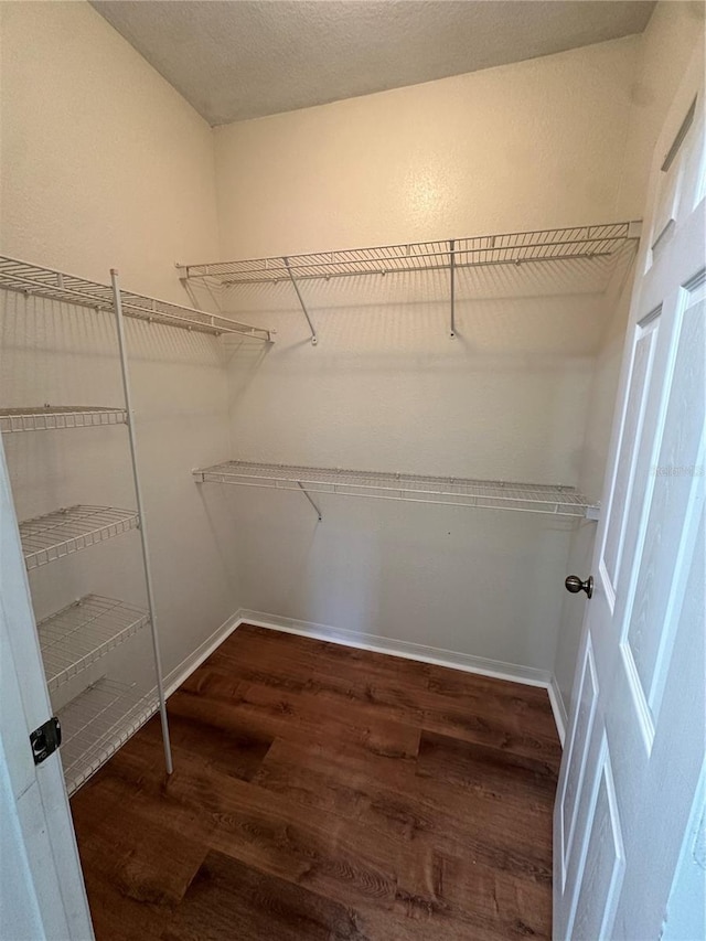 spacious closet with dark hardwood / wood-style flooring