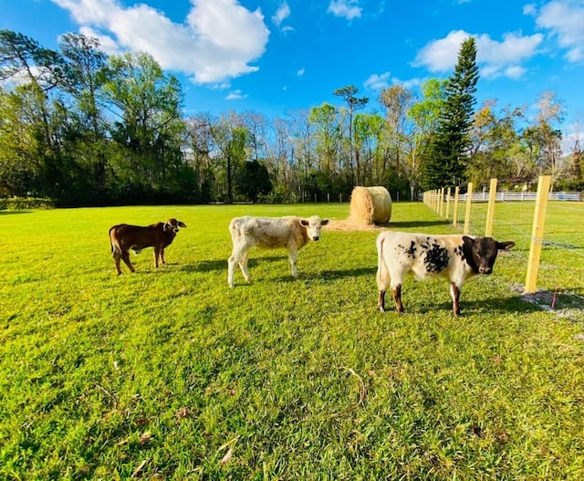 view of home's community with a lawn and a rural view