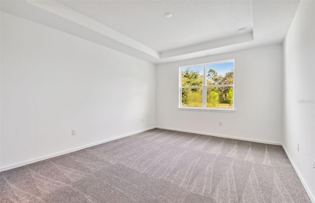 spare room with a raised ceiling and carpet flooring