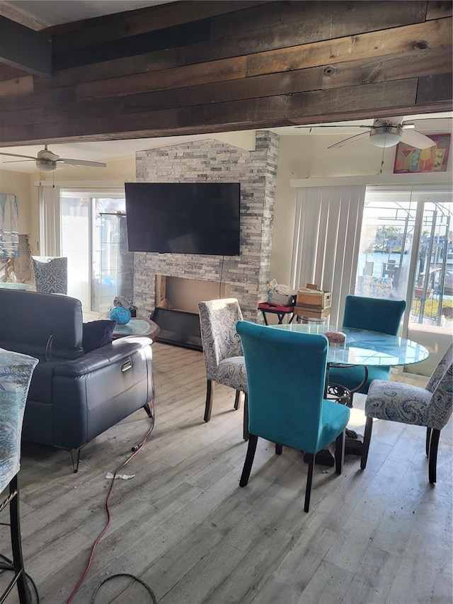 dining area with ceiling fan and light hardwood / wood-style flooring