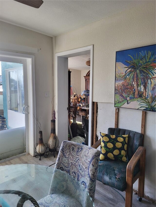 sitting room with a textured ceiling