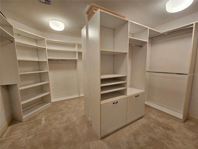 walk in closet with light colored carpet