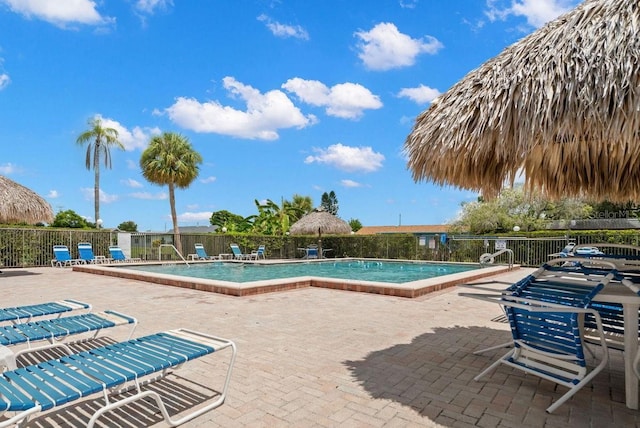 view of pool with a patio