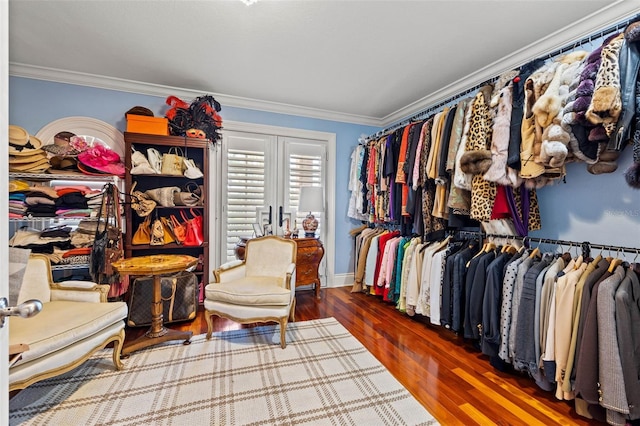 spacious closet with dark wood finished floors