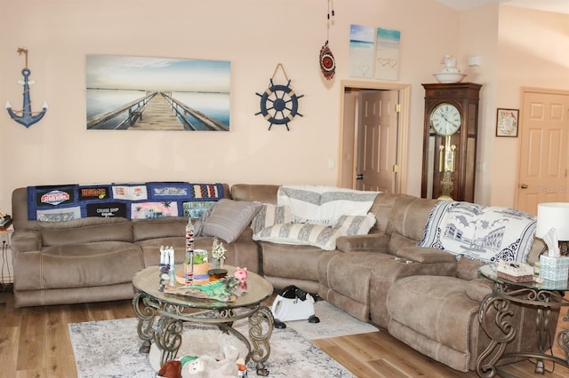 living room featuring light hardwood / wood-style floors