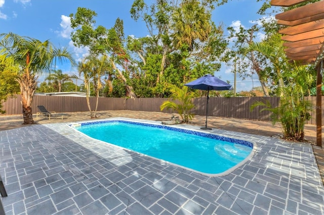 view of pool with a patio area