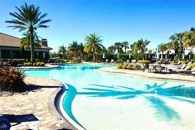 5426 Rushmere Ct, Palmetto, FL 34221 - community pool with a patio area