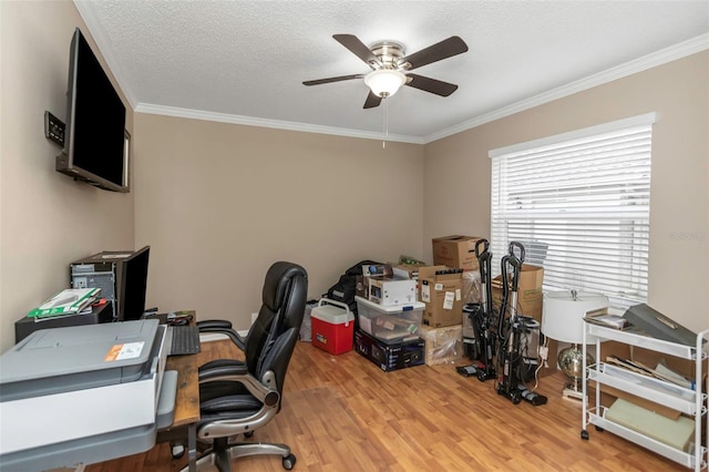 office space featuring ceiling fan, a textured ceiling, hardwood / wood-style flooring, and crown molding