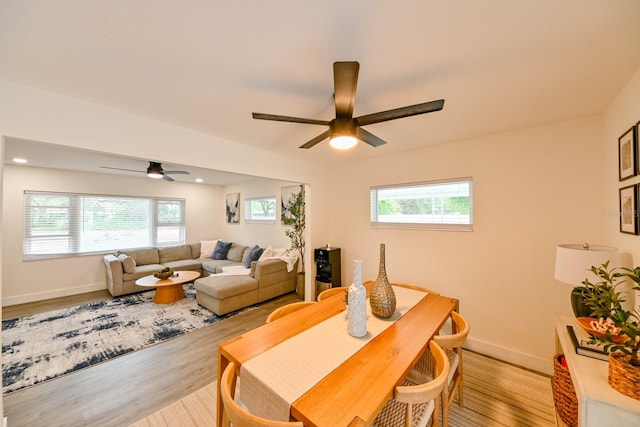 dining space featuring light wood finished floors, a wealth of natural light, and ceiling fan