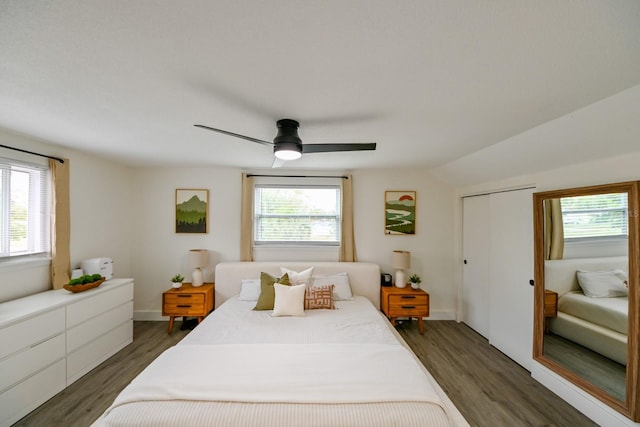 bedroom with multiple windows, wood finished floors, and ceiling fan