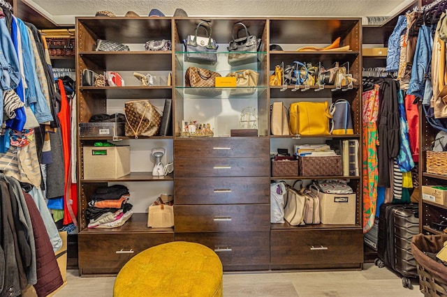 walk in closet featuring light hardwood / wood-style floors