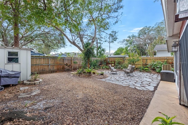 view of yard featuring a patio area and a shed