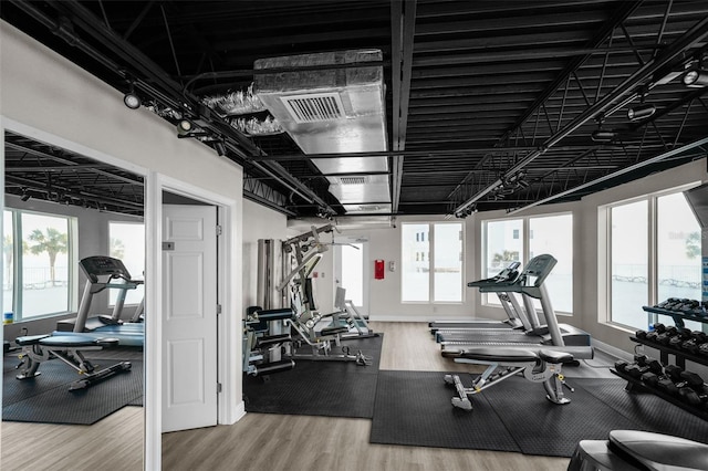 exercise room featuring hardwood / wood-style flooring