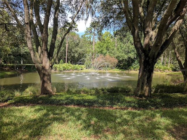 view of yard with a water view