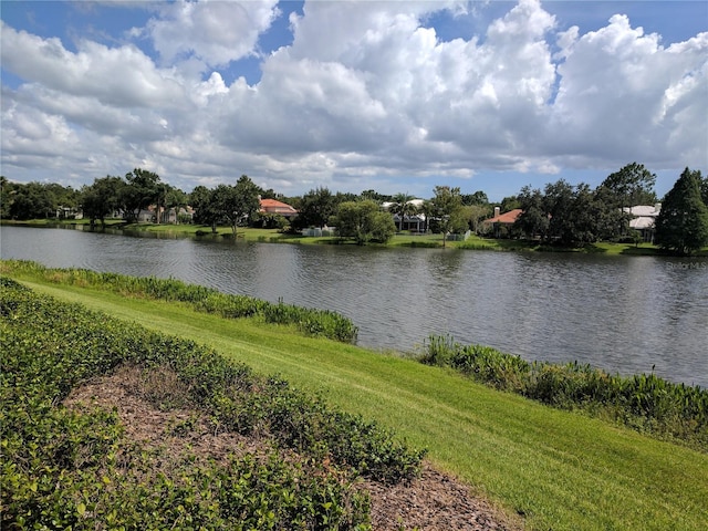 view of water feature