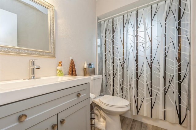 bathroom featuring toilet, vanity, wood-type flooring, and a shower with curtain