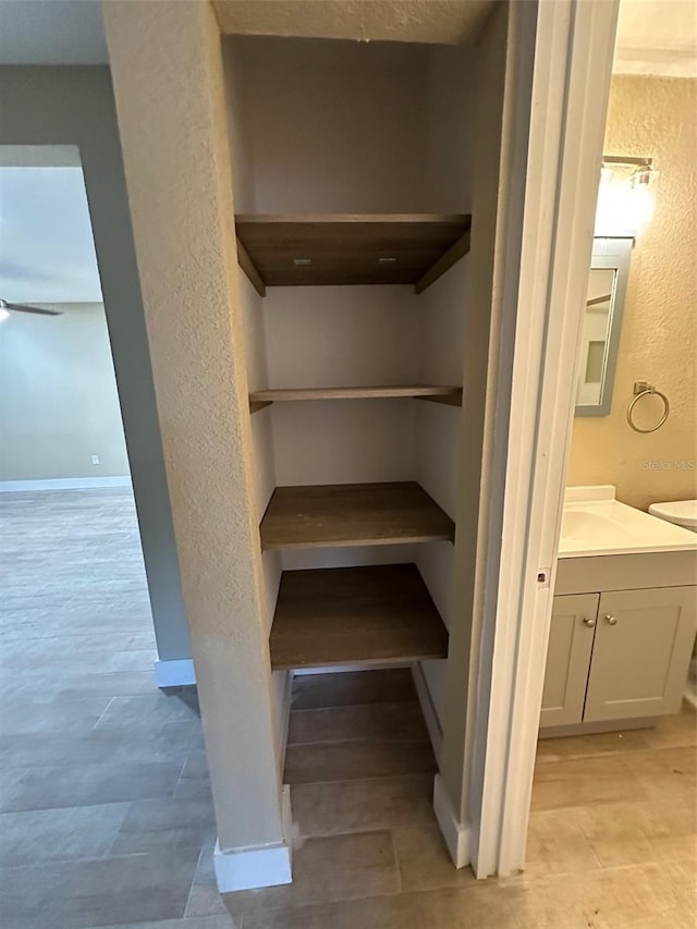 closet with sink