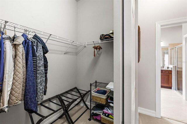 walk in closet with light colored carpet