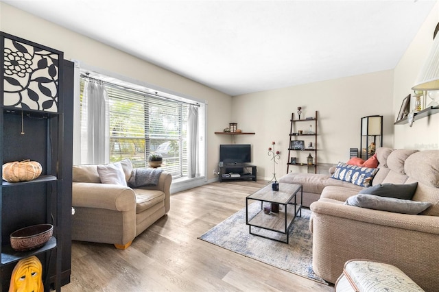 living room featuring hardwood / wood-style floors