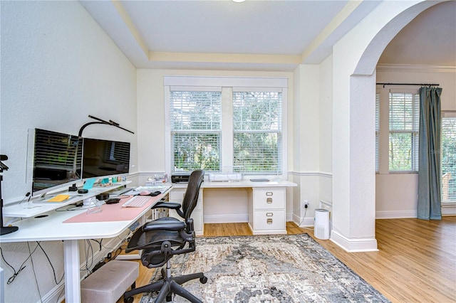 office featuring light hardwood / wood-style floors and a healthy amount of sunlight