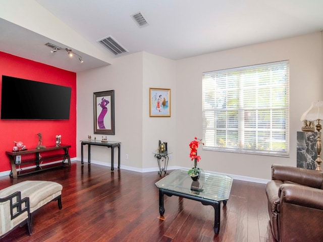 living room featuring lofted ceiling and dark wood-type flooring