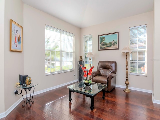 sitting room featuring dark hardwood / wood-style flooring