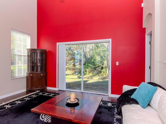 living room with hardwood / wood-style flooring and a towering ceiling