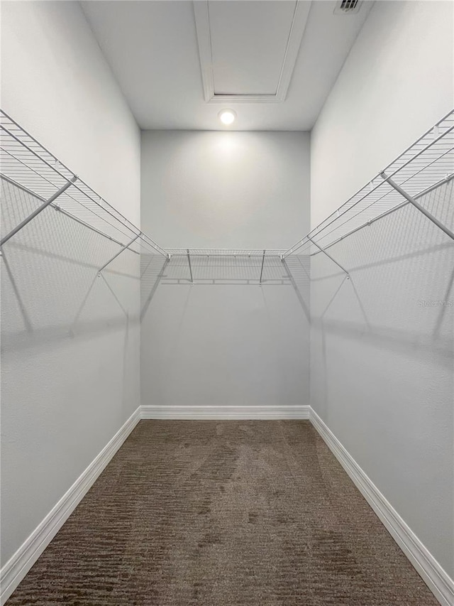 spacious closet with carpet floors