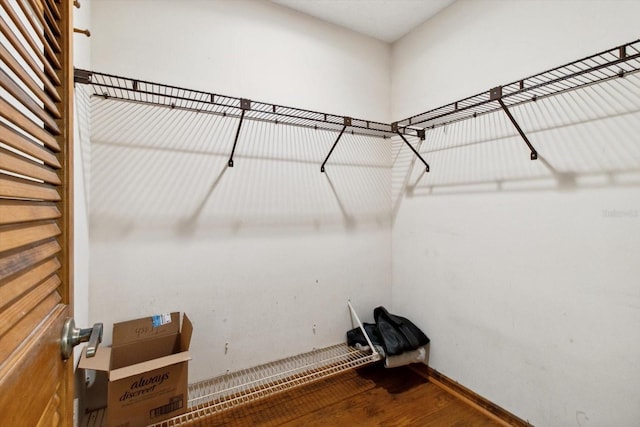 spacious closet featuring wood-type flooring