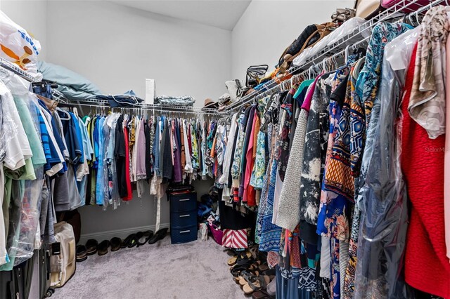 spacious closet featuring carpet