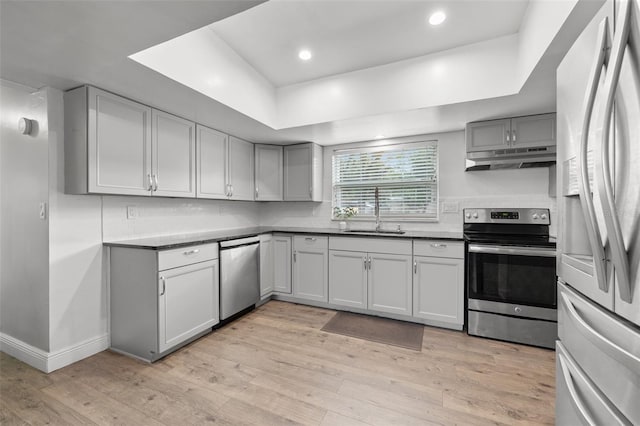 kitchen featuring gray cabinets, stainless steel appliances, a tray ceiling, light hardwood / wood-style flooring, and sink