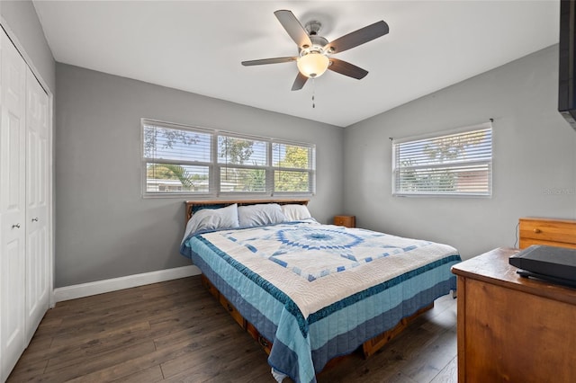 bedroom featuring ceiling fan, a closet, and dark wood-type flooring