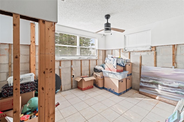 storage featuring ceiling fan