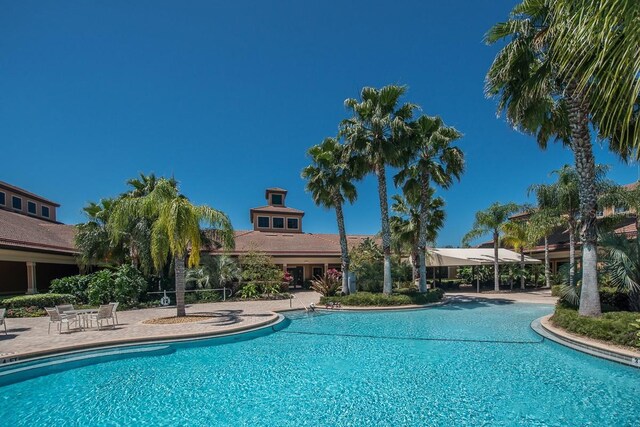 view of swimming pool