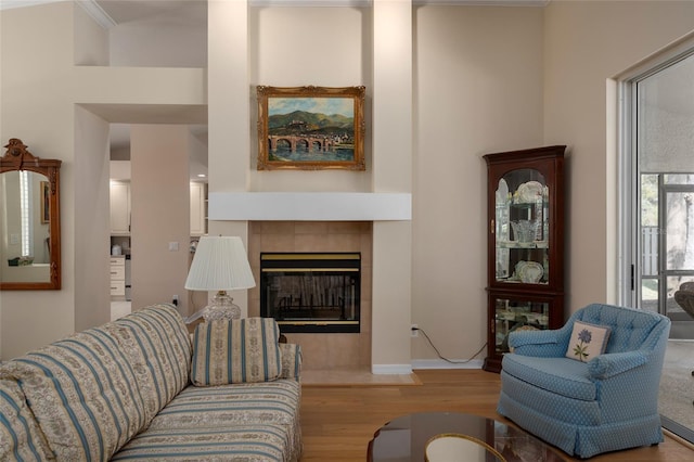 living room with light hardwood / wood-style floors and a tile fireplace