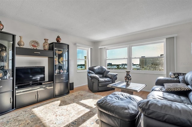 living room featuring light hardwood / wood-style floors and a textured ceiling