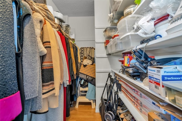 spacious closet with light hardwood / wood-style floors