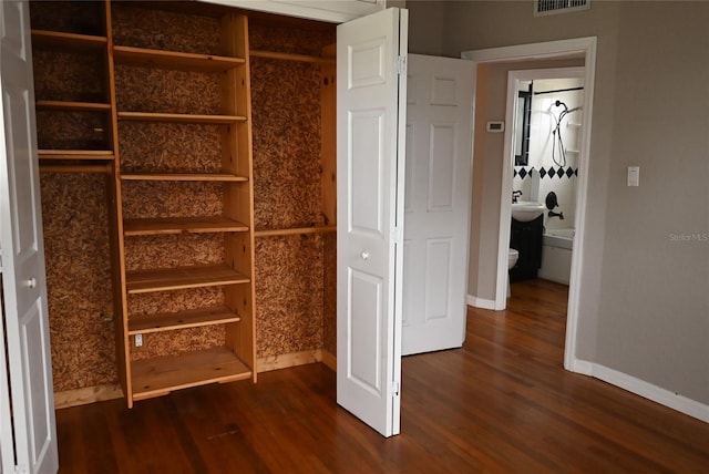 view of closet