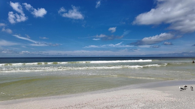 property view of water with a beach view