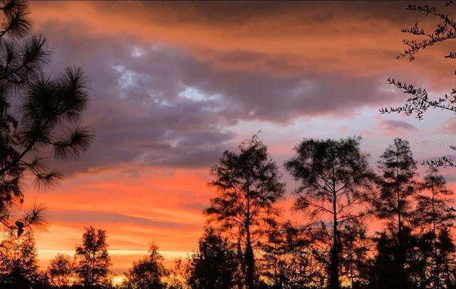 view of nature at dusk