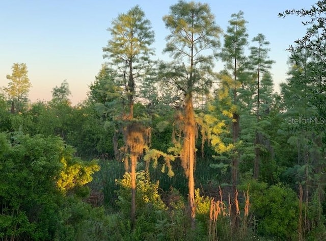 view of nature at dusk