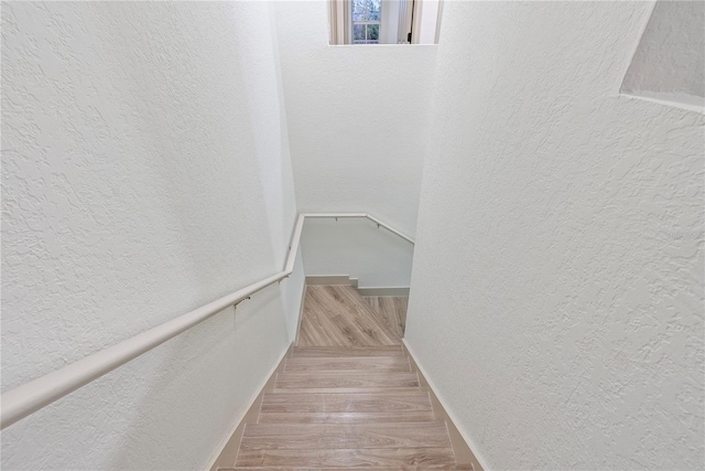 staircase with wood-type flooring