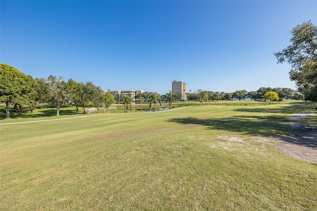 view of property's community with a yard