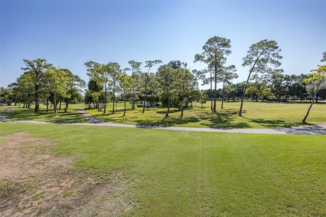 view of home's community with a lawn