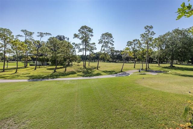 view of property's community with a yard