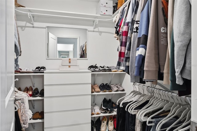 view of walk in closet