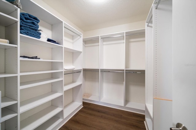 spacious closet featuring dark wood-type flooring