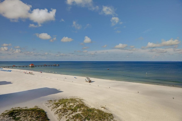 water view featuring a beach view